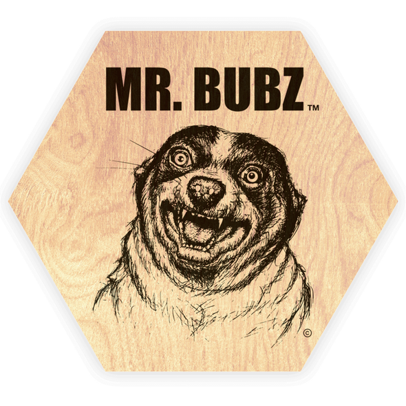 Mr. Bubz Wood Magnets (Set of 3)
